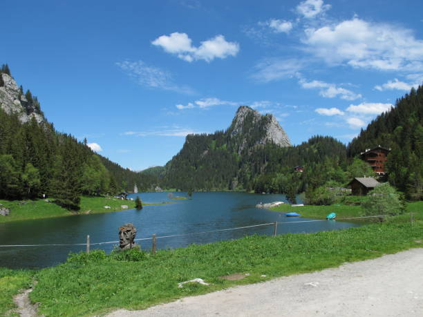 istock Switzerland Lake Tannay 1271898157