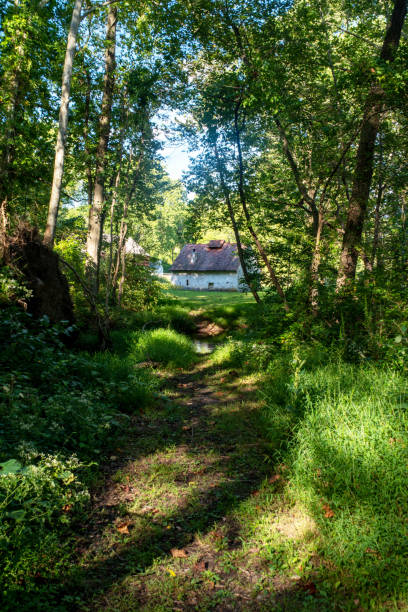sentiero della foresta incantata conduce a idilliaca casa in pietra. - house wood dirt road footpath foto e immagini stock