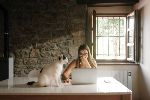 istock Young woman working from home with her cat 1271906023