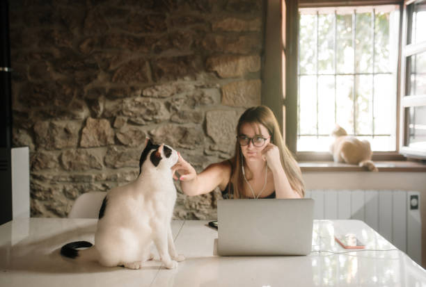 istock Young woman working from home with her cat 1271906094
