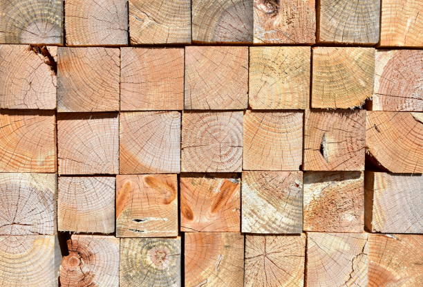 istock Pine tree cut wood background. Wood texture with sunlight. 1271906122