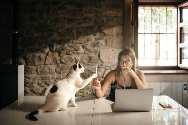 istock Young woman working from home with her cat 1271906175