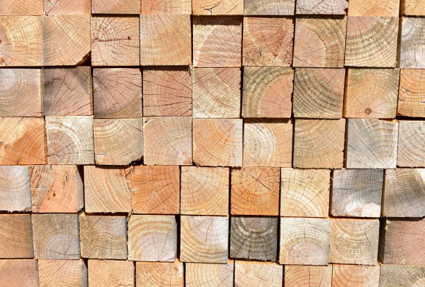 istock Pine tree cut wood background. Wood texture with sunlight. 1271906336
