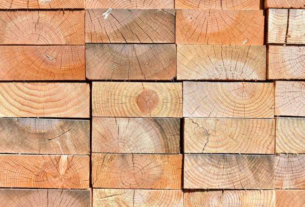 istock Pine tree cut wood background. Wood texture with sunlight. 1271906675