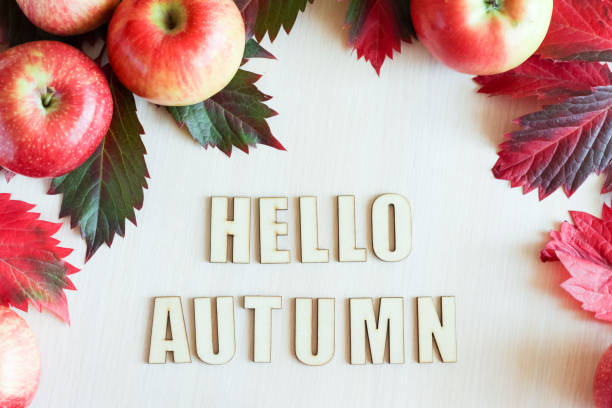 istock Autumn background with red apples and leaves 1271907353