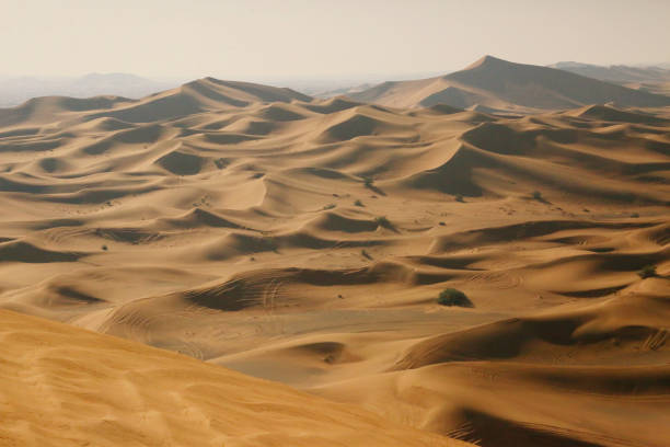 istock beautiful sand dunes in a desert in  the UAE 1271910842