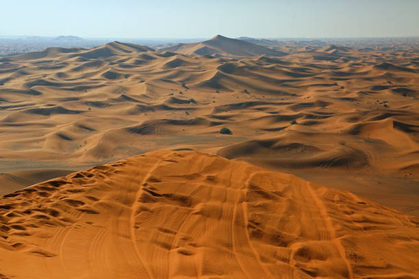 istock beautiful sand dunes in a desert in  the UAE 1271910953