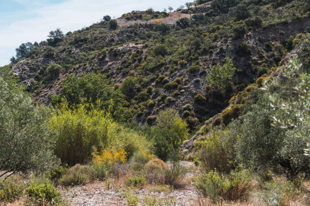 istock mountainous area with vegetation next to a river 1271913696