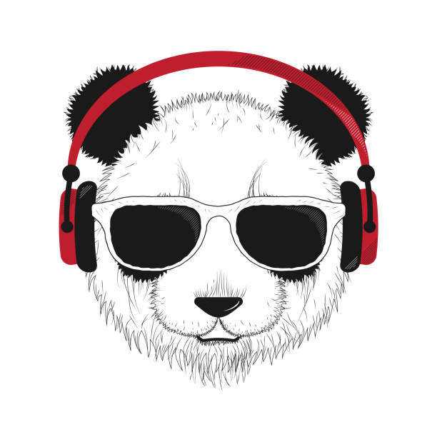 illustrations, cliparts, dessins animés et icônes de panda avec des lunettes et des écouteurs. - nose job audio