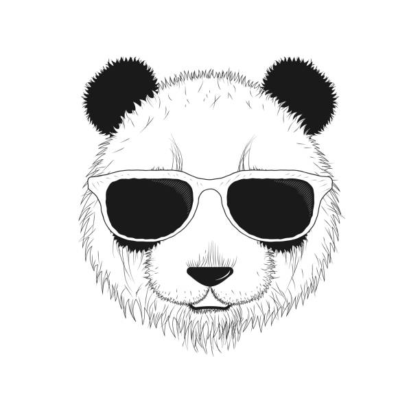 ilustrações de stock, clip art, desenhos animados e ícones de portrait of a panda in sunglasses. - fluffy bear cute friendship