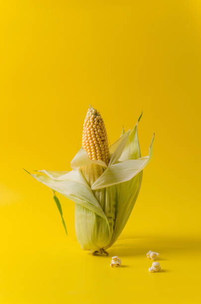 istock One ear of corn stands on a yellow background next to popcorn. Vertical background, copy space 1271916706