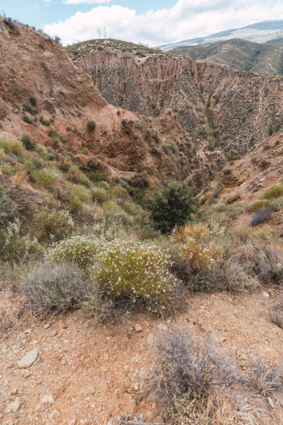 istock Mountainous landscape with vegetation in southern Spain 1271919963