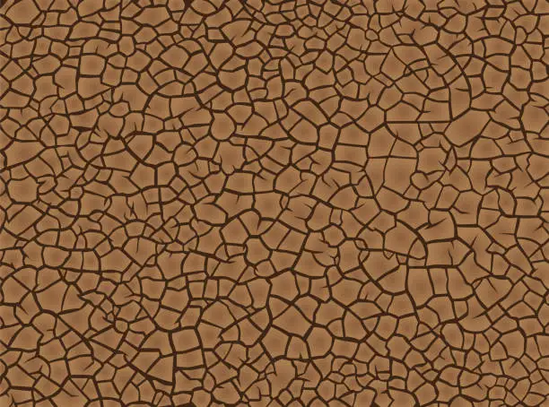 Vector illustration of Earth cracked because of drought.