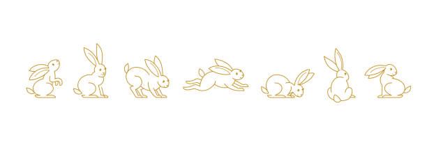 set mit linie kunst kaninchen. symbole, symbole, logo-design-elemente, illustration von niedlichen hase. - hase stock-grafiken, -clipart, -cartoons und -symbole