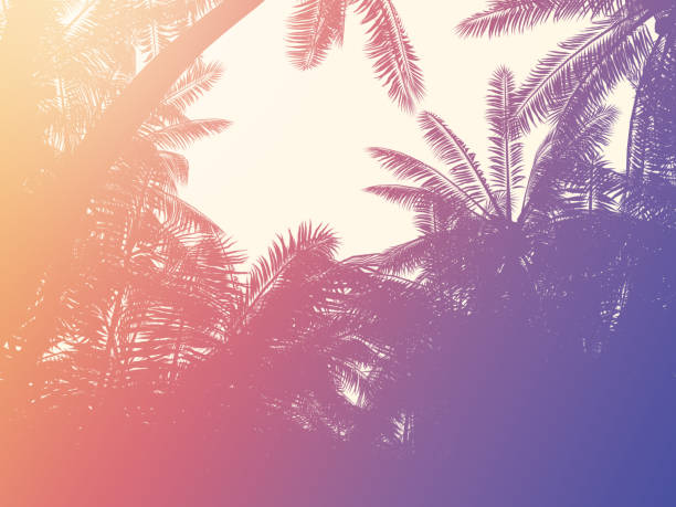 istock Palm trees silhouette background in retro style 1271924892