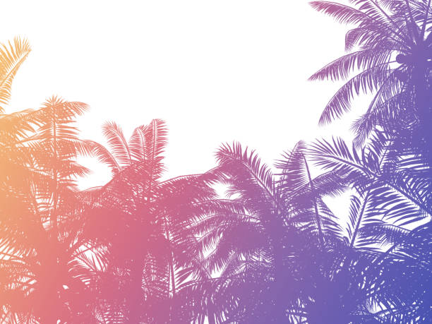 istock Palm trees silhouette background in retro style 1271924895