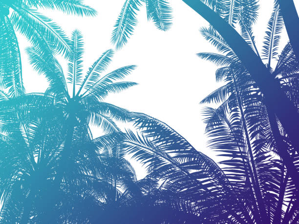 istock Palm trees silhouette background in retro style 1271924905
