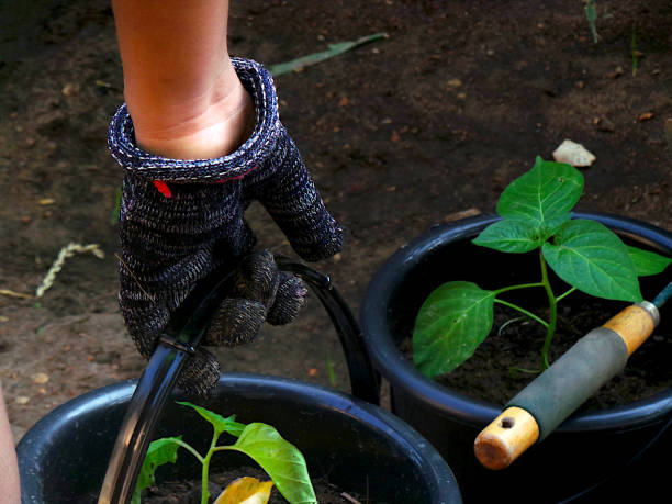 istock Hand holding a plant pot bucket 1271928586