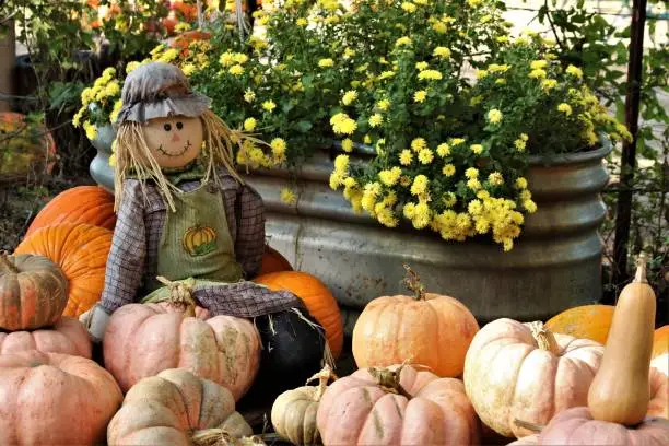 Photo of Scarecrow Sitting on Pumpkins at Pumpkin Patch