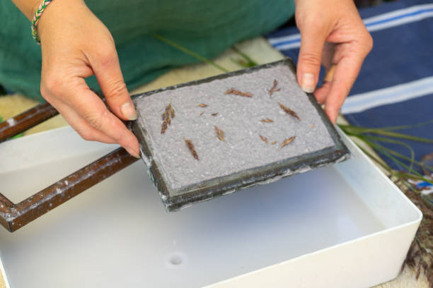 istock Woman holding frame for making paper sheets from waste paper pulp. Selective focus. Decorative and applied art. Recycling concept, ecology. 1271929357