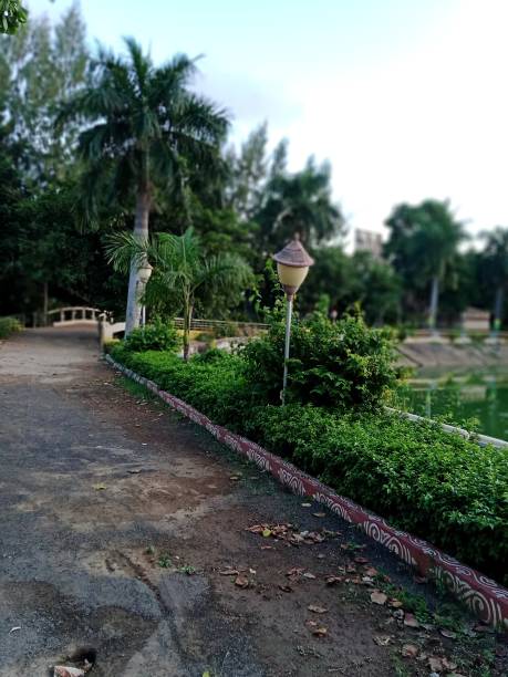 istock In the city park 1271931857