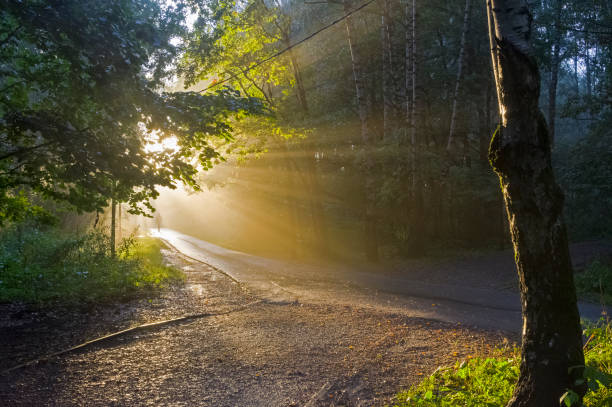 The sun's rays break through the fog. Early evening.