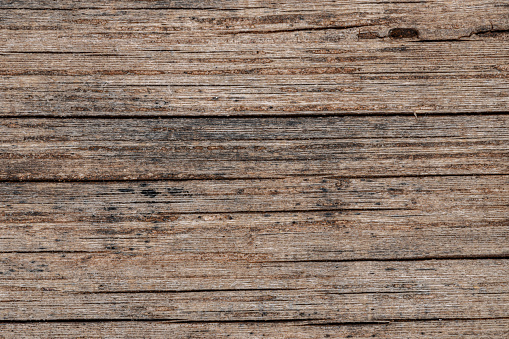 macro texture of a wood