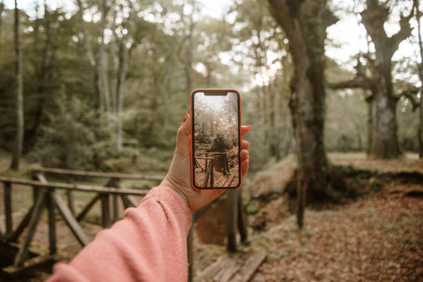 istock Taking a picture of a forest with a smart phone 1271933565