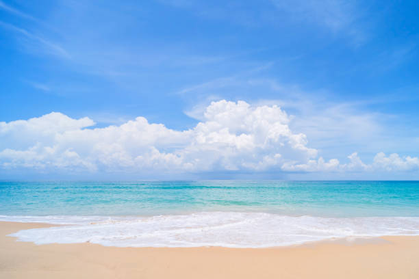 istock Beautiful tropical beach with blue sky and white clouds abstract texture background. 1271933821