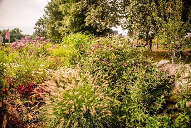 istock Wildflowers with butterflies and moths 1271937098
