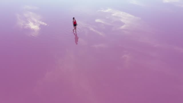 Scenic aerial view of woman walking  on pink salt lake in Ukraine