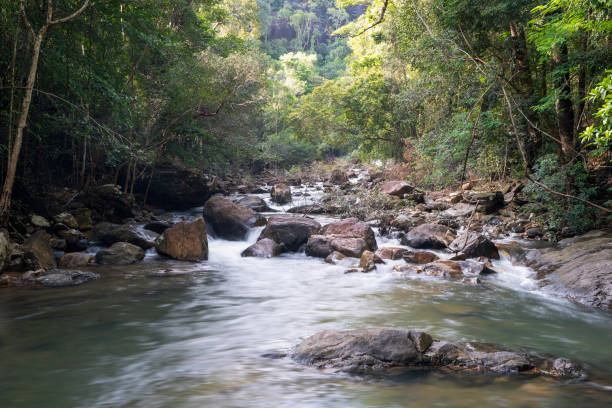 istock Khlong Phlu Waterfall, Koh Chang National park,Trat, Thailand 1271942378