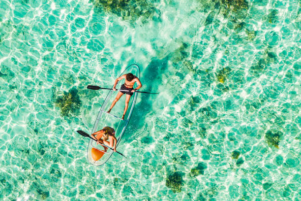 giovane coppia che pagaia su kayak con fondo di vetro nell'oceano tropicale - isole maldive foto e immagini stock