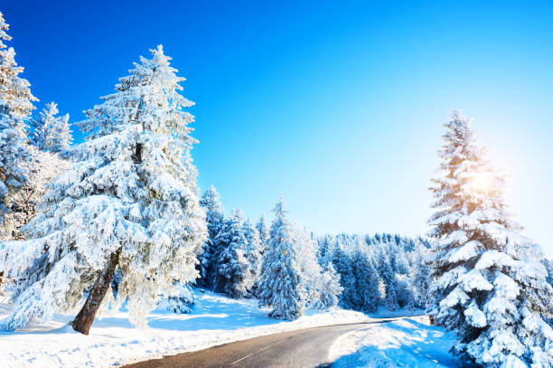 istock Winter road with snow-covered trees. Beautiful winter landscape 1271942638