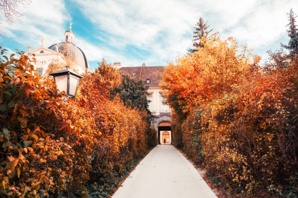 Autumn park in Vienna, Austria. Beautiful alley with yellow trees and old architecture