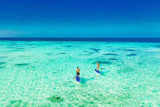 istock Young couple paddling on paddleboard in tropical ocean 1271943745