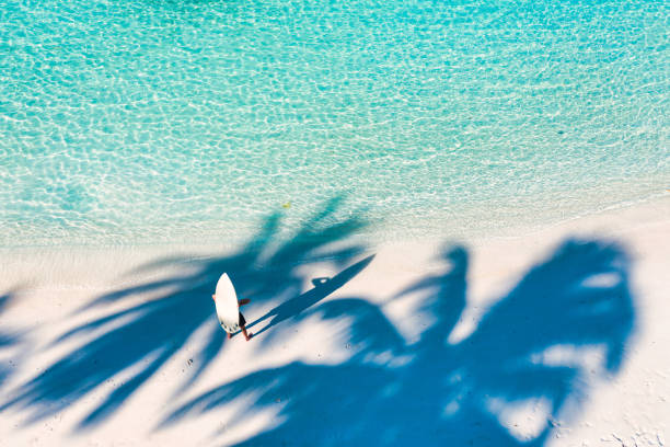 istock Young man with surfboard in Ocean 1271945386