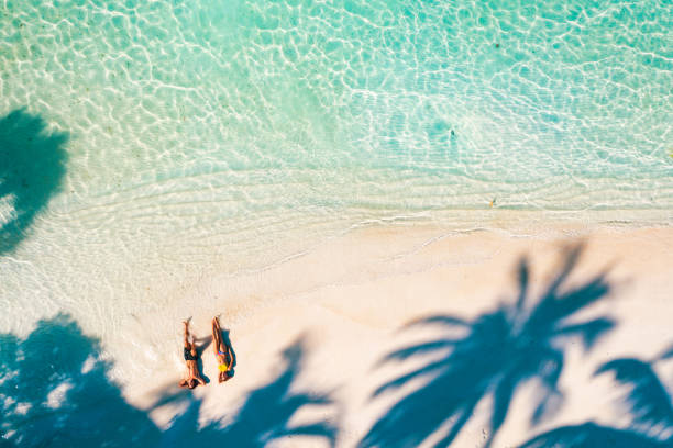 istock Young couple enjoying sun under palm trees in Maldives 1271945425