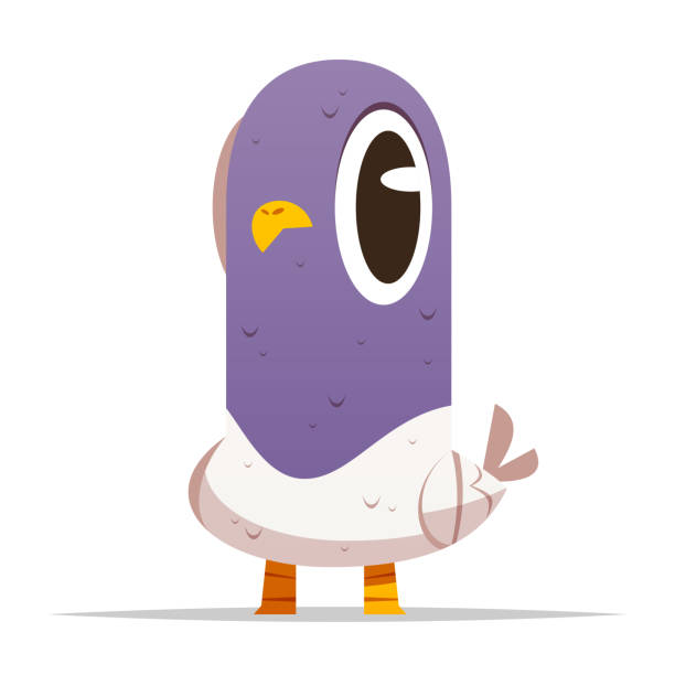 Funny Pigeon Cartoon Illustrations, Royalty-Free Vector Graphics & Clip Art  - iStock