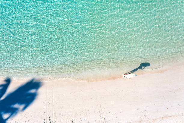 istock Young man with surfboard in Ocean 1271945817
