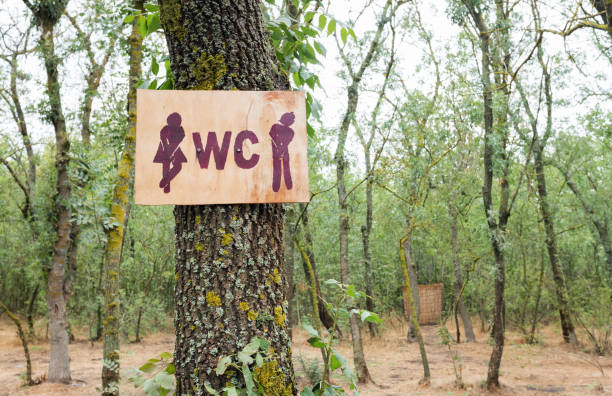 istock Wooden WC sign in the forest. 1271948938