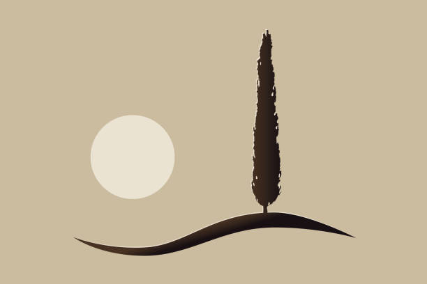 illustrations, cliparts, dessins animés et icônes de simple isolé méditerranéen vecteur cyprès icône icône silhouette sur une colline avec le soleil - tree cypress tree vector silhouette
