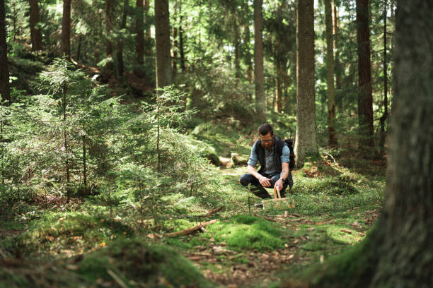istock Man picking mushrooms in the forest 1271956878