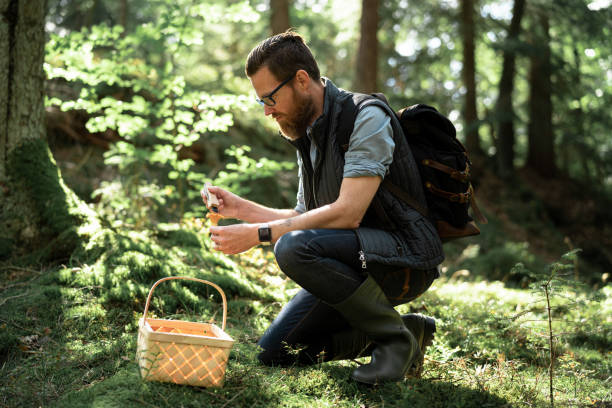 istock Man brushing off some fresh chanterelle mushrooms 1271956886