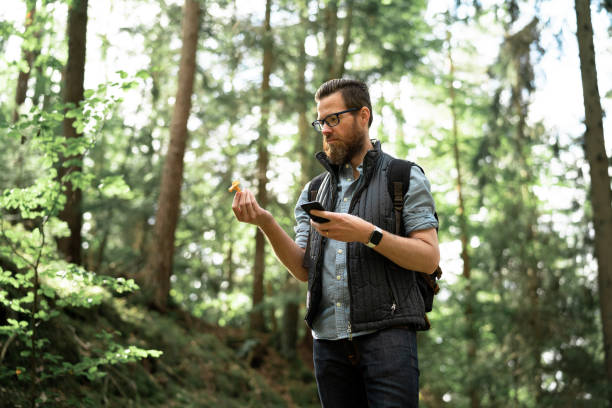 istock Man using smart phone to investigate the wild mushrooms 1271956917