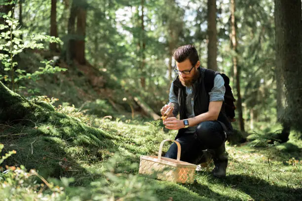 Photo of Man brushing off some fresh chanterelle mushrooms