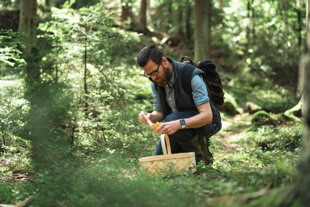 istock Man brushing off some fresh chanterelle mushrooms 1271956940