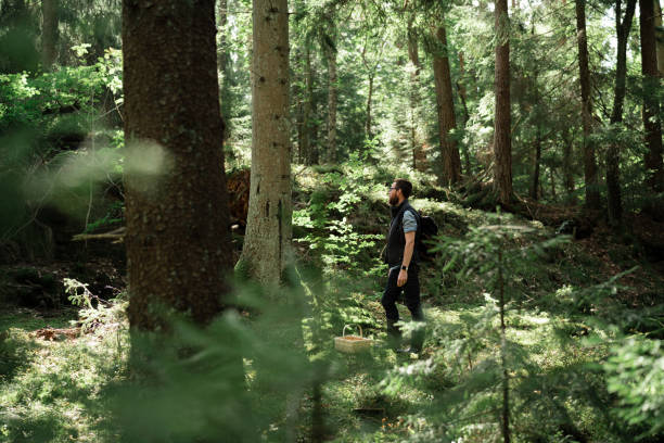 istock Hiking through the forest looking for mushrooms 1271956949