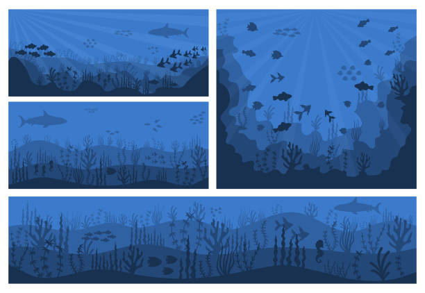 морской подводный фон. - wildlife aquatic beauty in nature tropical climate stock illustrations