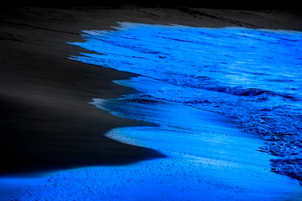 istock Bright blue waves on a beach from ocean swell water clean and fresh 1271958797